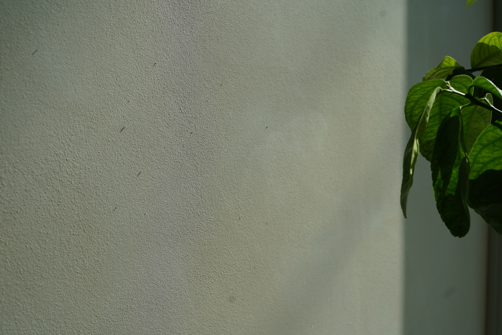 Detail hlinenej omietky